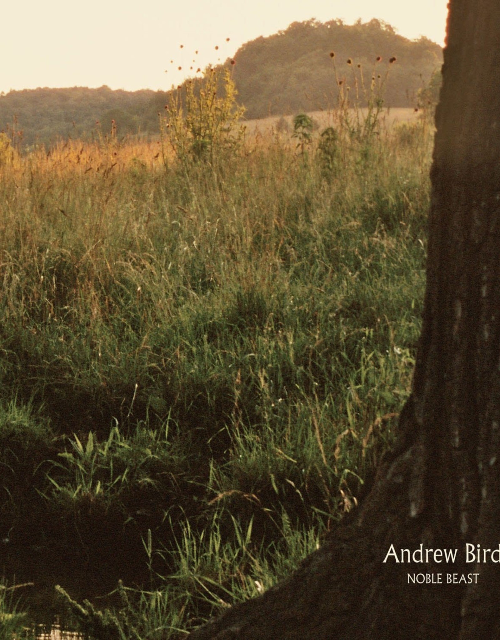 Andrew Bird - Noble Beast