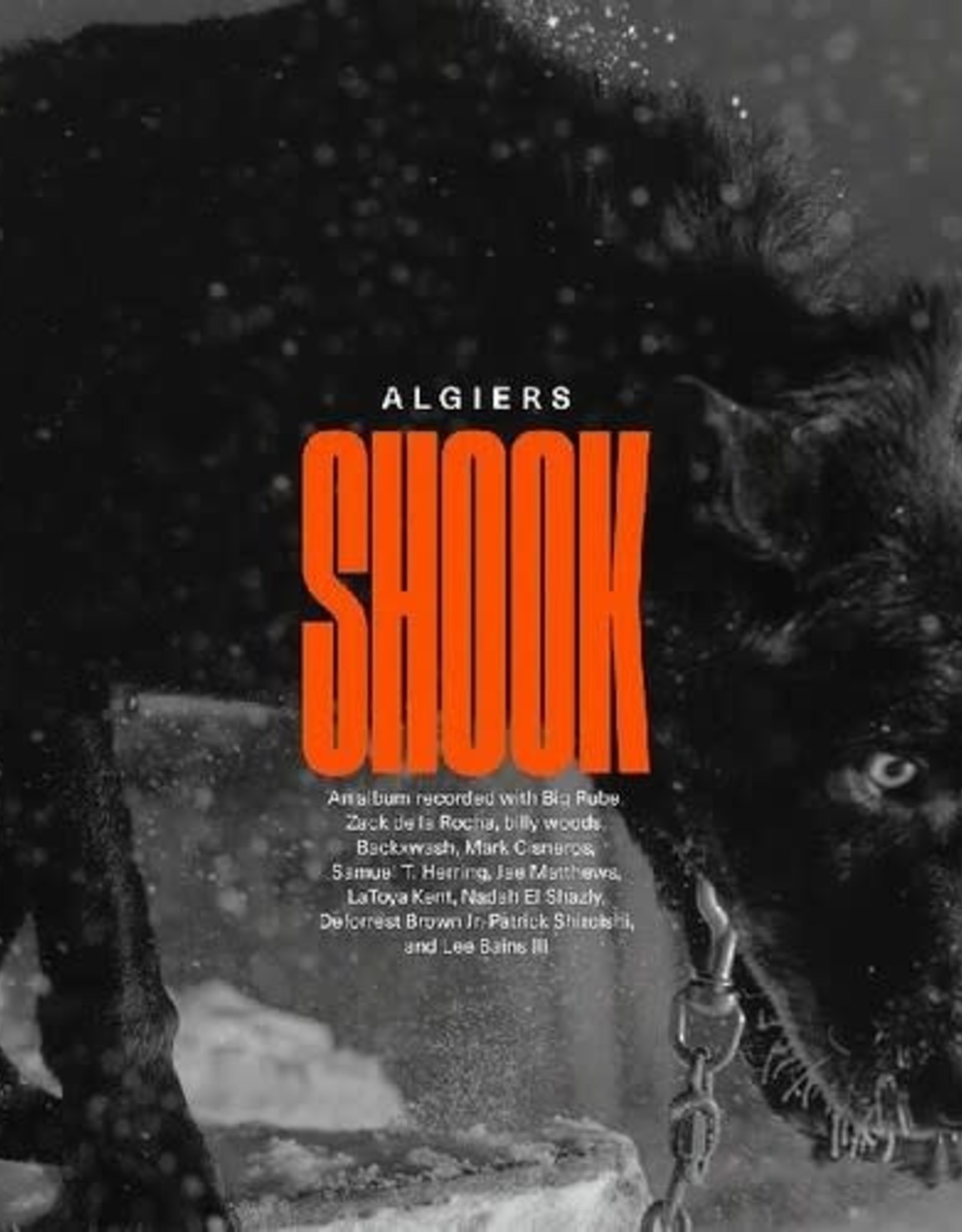 Algiers - Shook