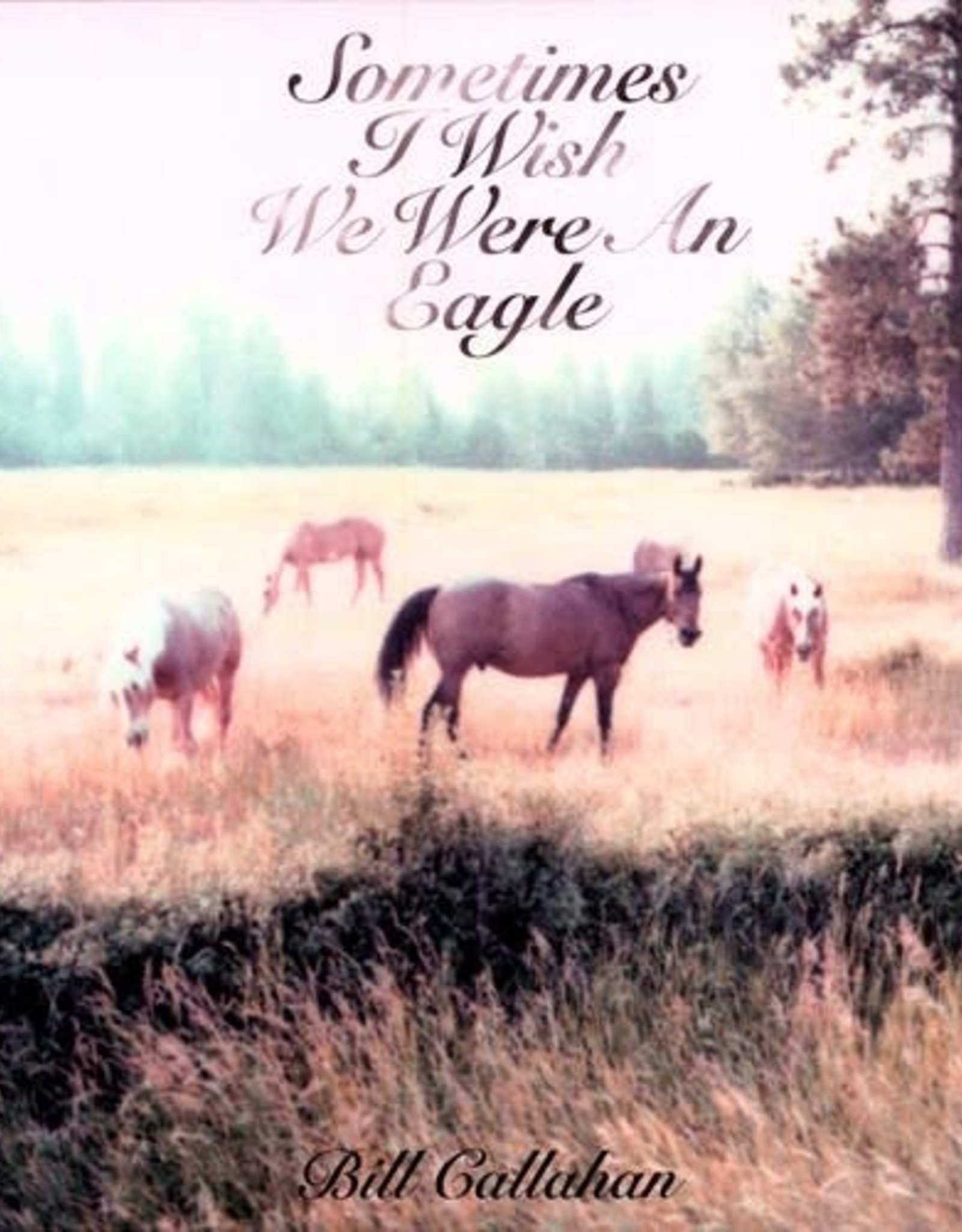 Bill Callahan - Sometimes I Wish We Were an Eagle