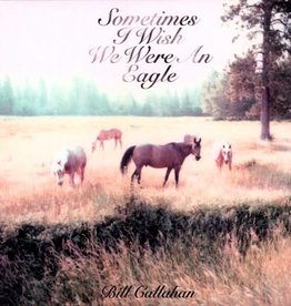 Bill Callahan - Sometimes I Wish We Were an Eagle