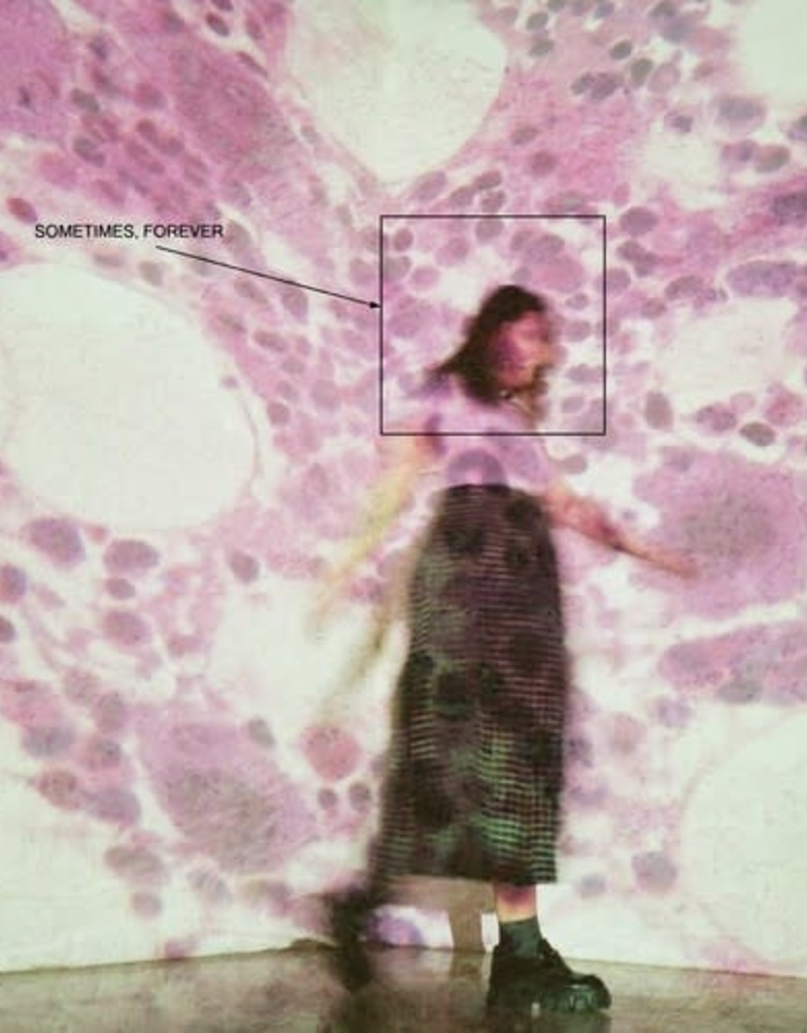 Soccer Mommy - Sometimes, Forever
