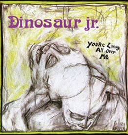 Dinosaur Jr.  - You're Living All Over Me