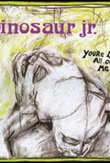 Dinosaur Jr.  - You're Living All Over Me