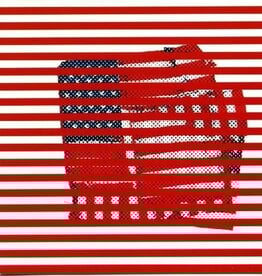 Tortoise - Standards  (Clear With Red & White Vinyl)