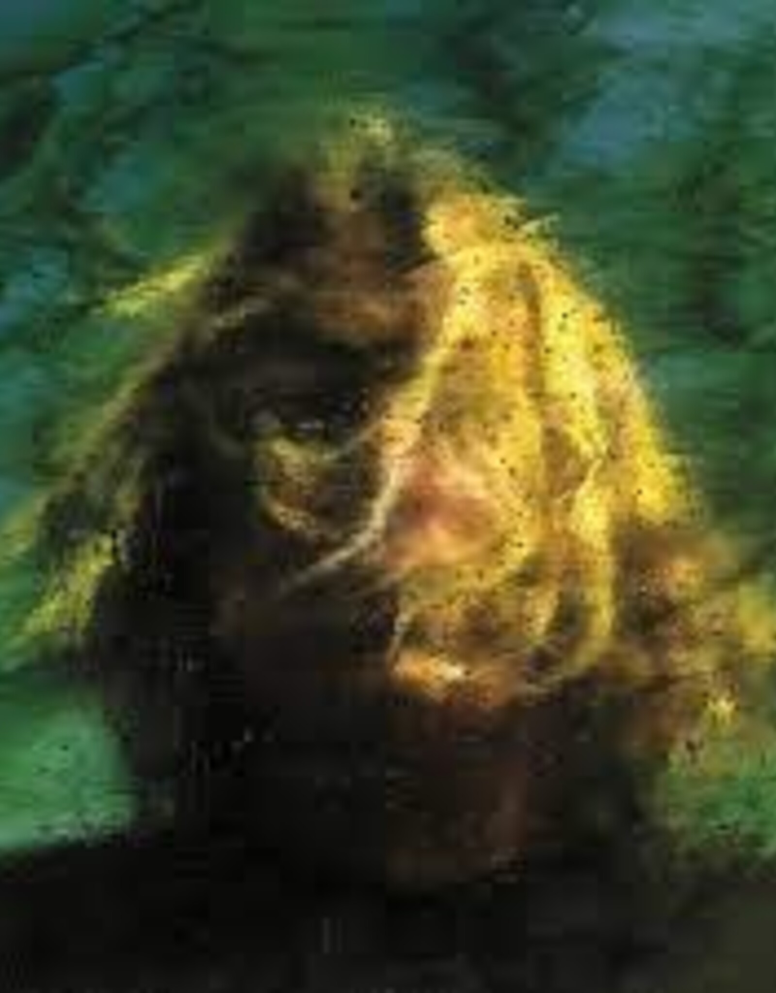 Ty Segall - Three Bells