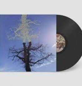 Laetitia Sadier - Rooting For Love