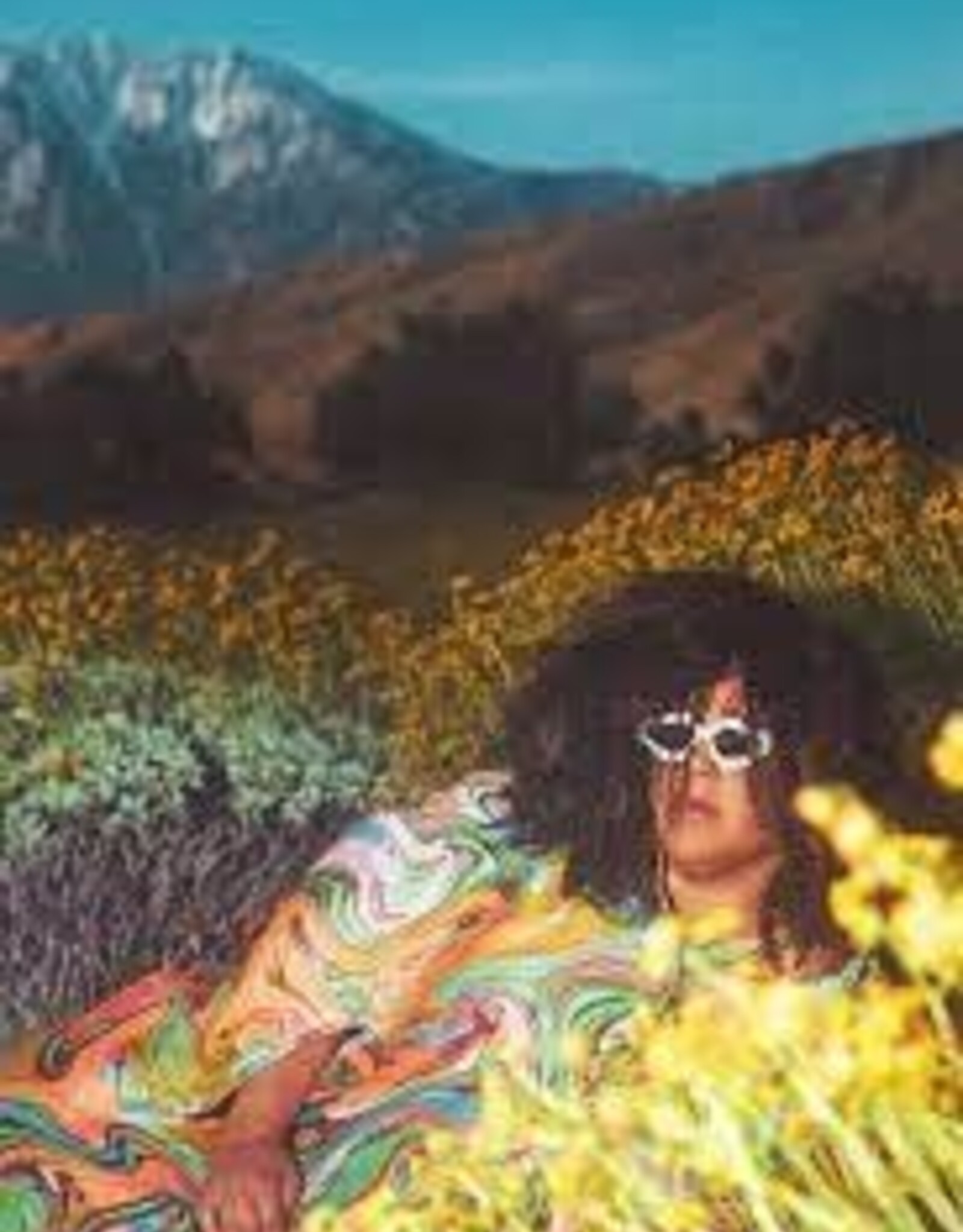 Brittany Howard- What Now