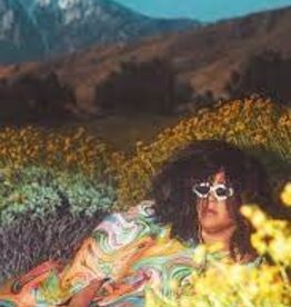 Brittany Howard- What Now