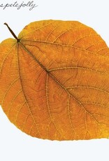 Pete Jolly - Seasons (Amber Vinyl)