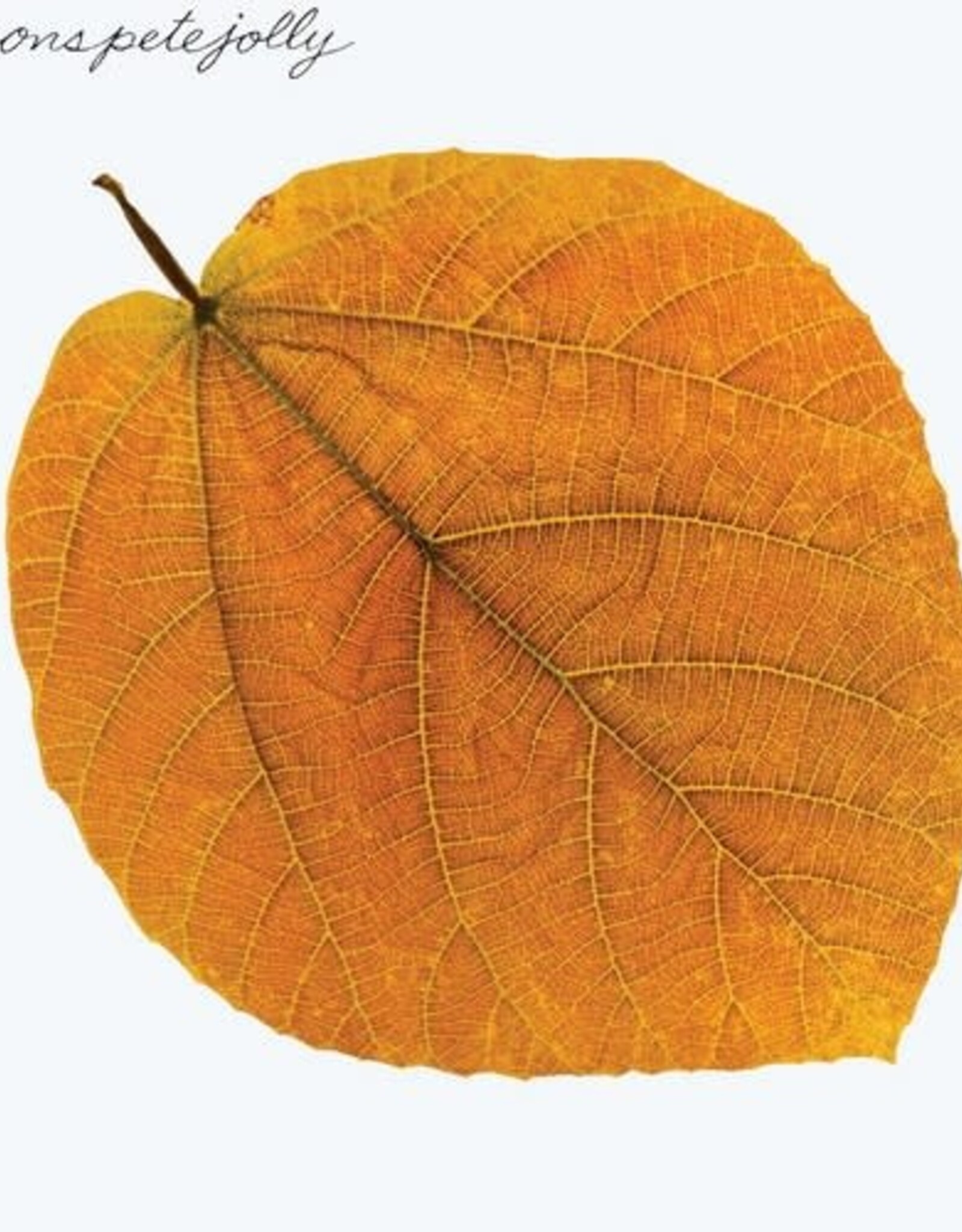 Pete Jolly - Seasons (Amber Vinyl)
