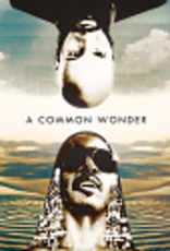 Amerigo Gazaway Mashup : Common vs S Wonder  - A Common Wonder