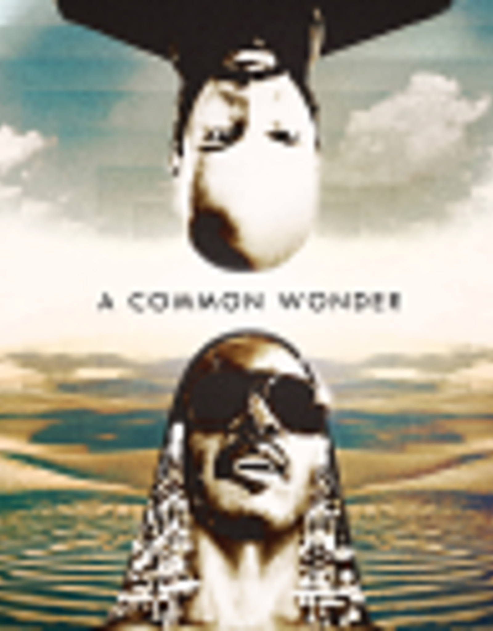 Amerigo Gazaway Mashup : Common vs S Wonder  - A Common Wonder