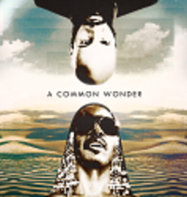 Amerigo Gazaway Mashup : Common vs S Wonder  - A Common Wonder