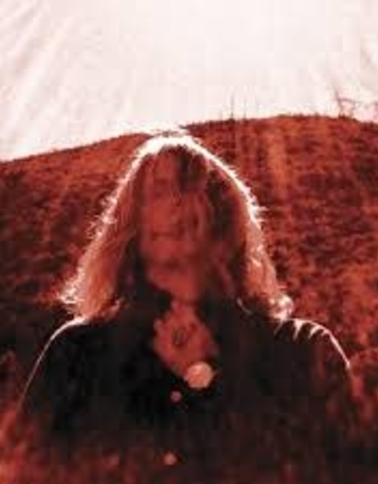 Ty Segall - Manipulator