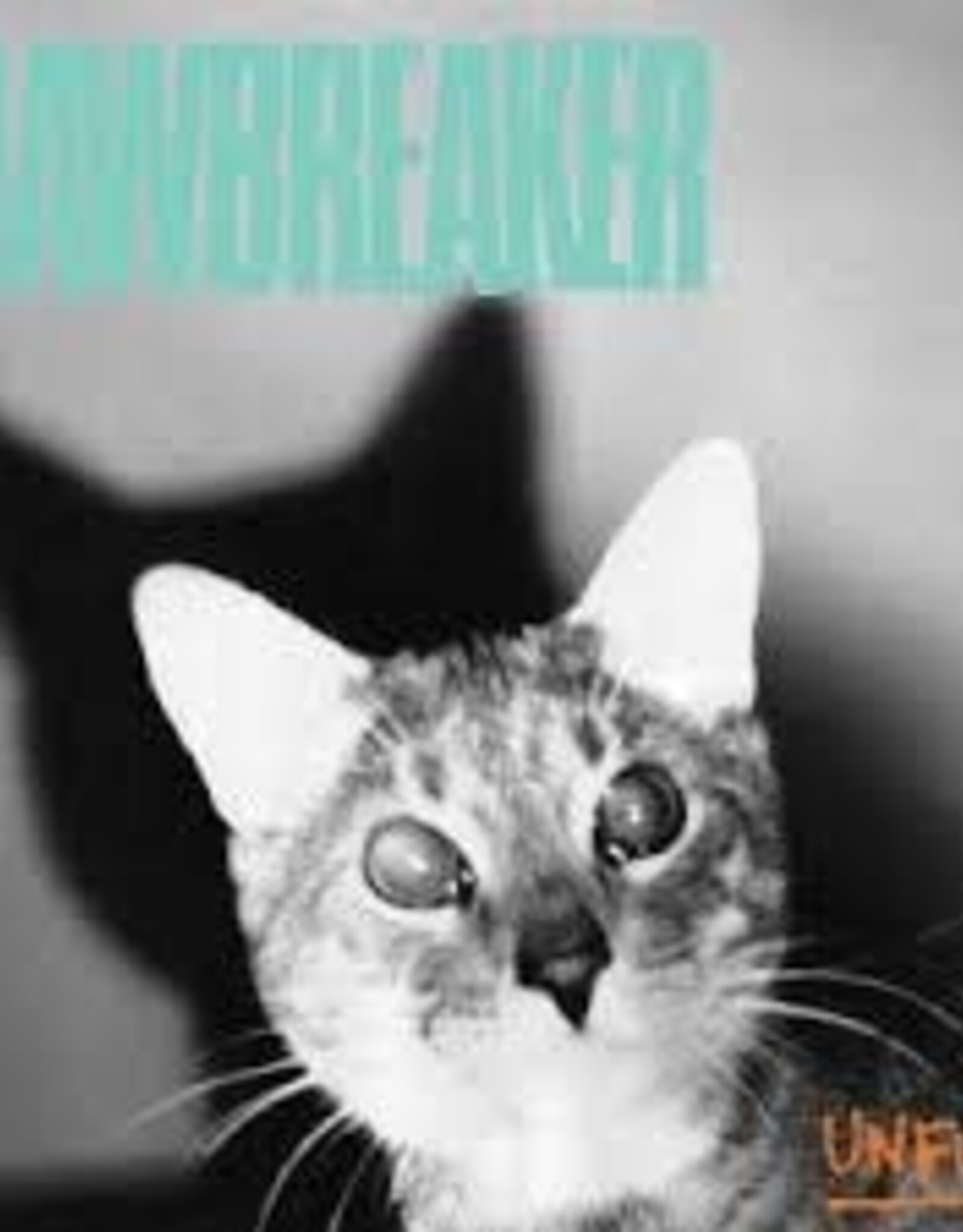 Jawbreaker - Unfun