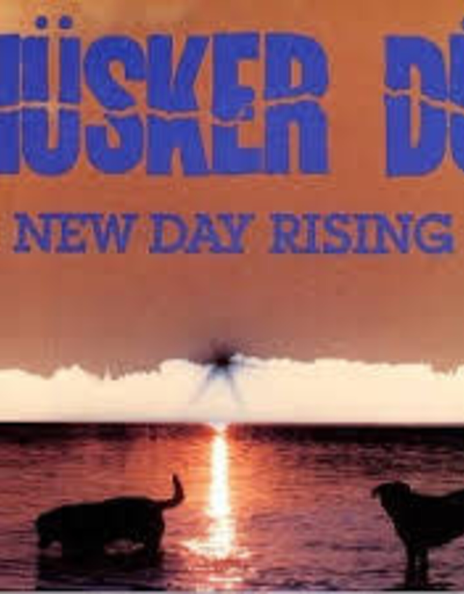 Husker Du- New Day Rising