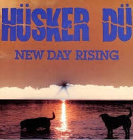 Husker Du- New Day Rising