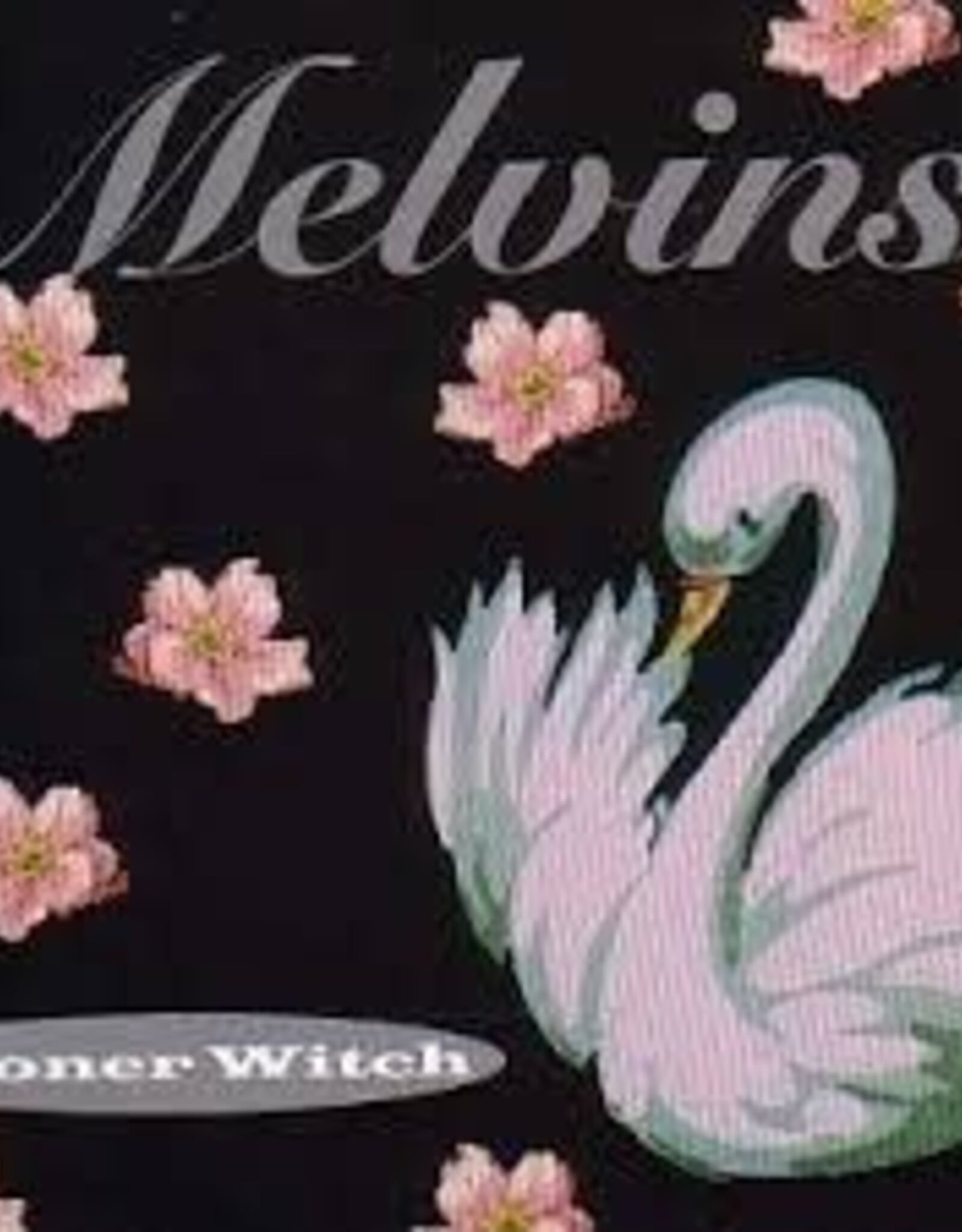 The Melvins - Stoner Witch