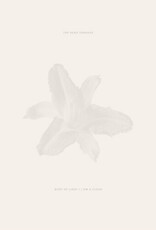 The Dead Tongues - Body of Light / I Am A Cloud