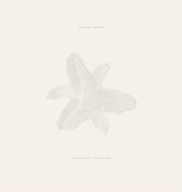 The Dead Tongues - Body of Light / I Am A Cloud