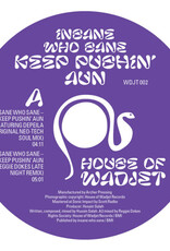 Insane Who Sane - Keep Pushin Aun EP (Detroit House)