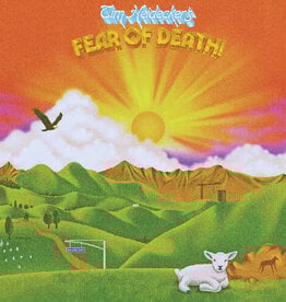 Tim Heidecker - Fear Of Death (Golden Sunset Vinyl)
