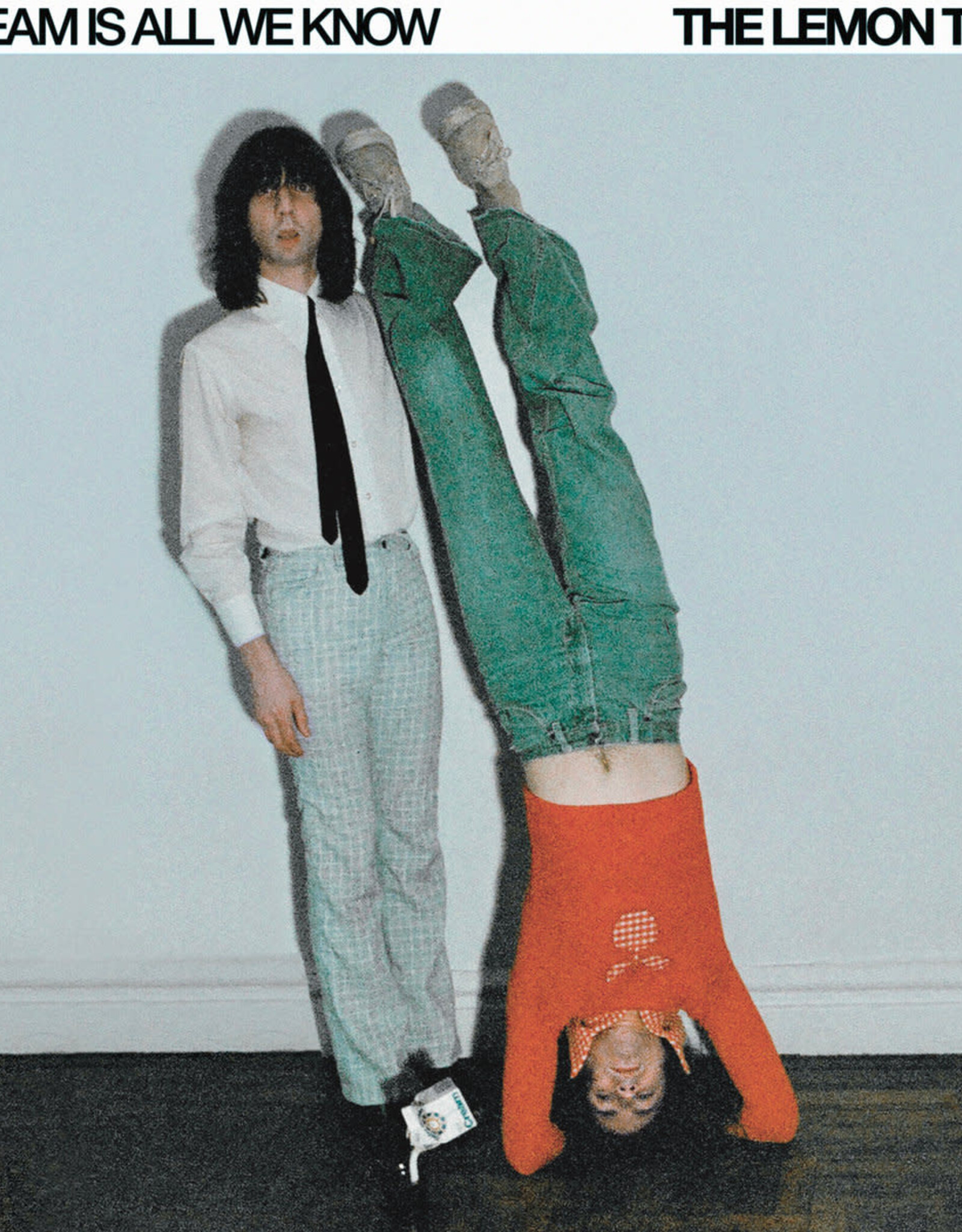 The Lemon Twigs - A Dream Is All We Know (Ube Vinyl)