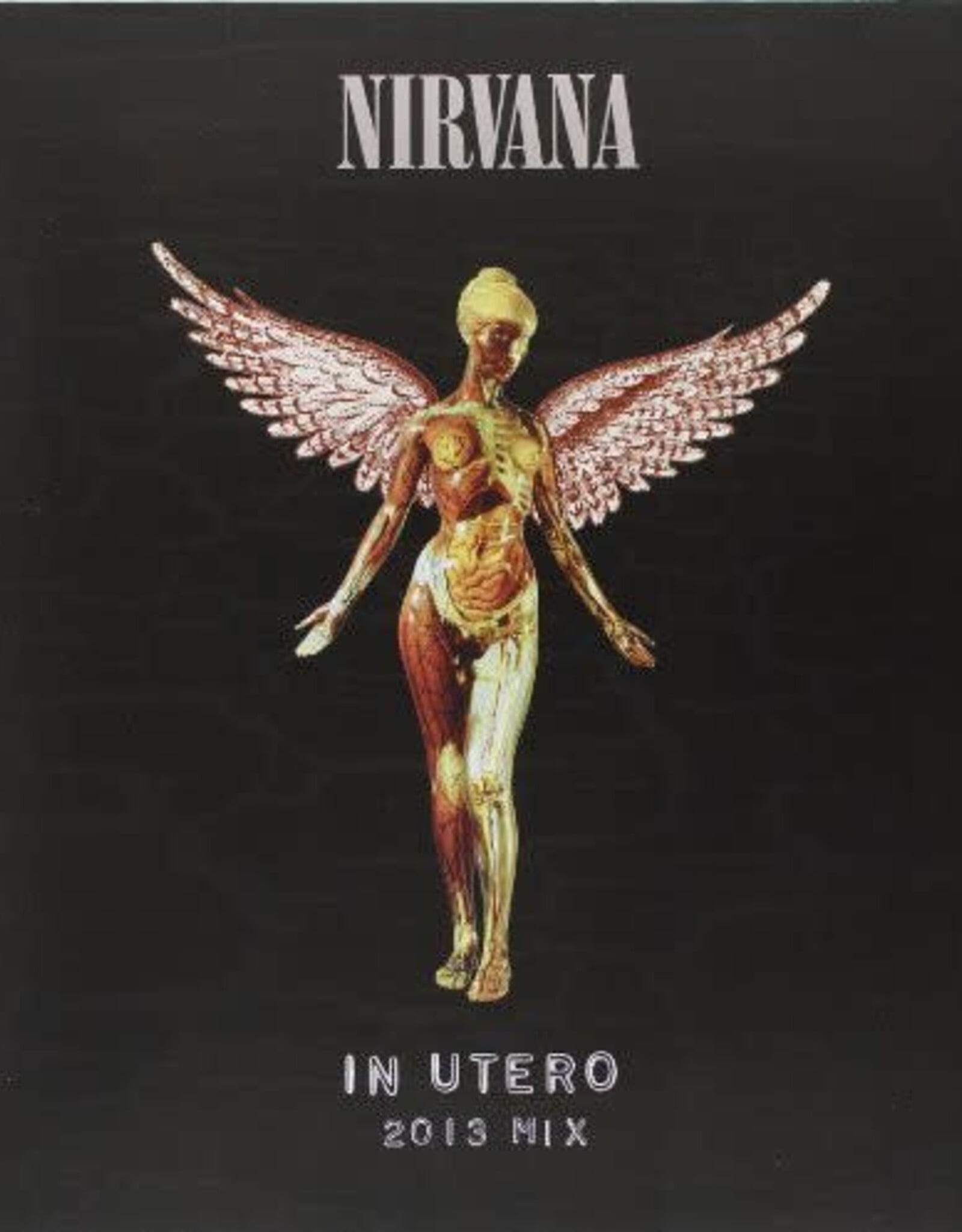 Nirvana -  In Utero (Anniversary Edition)