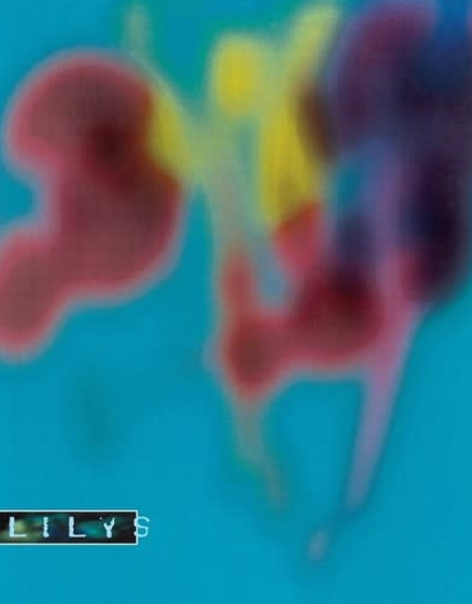 Lilys - Eccsame the Photon Band