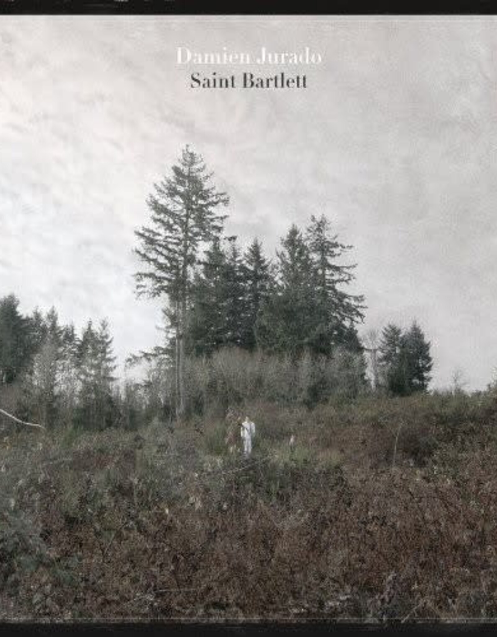 Damien Jurado	- Saint Bartlett