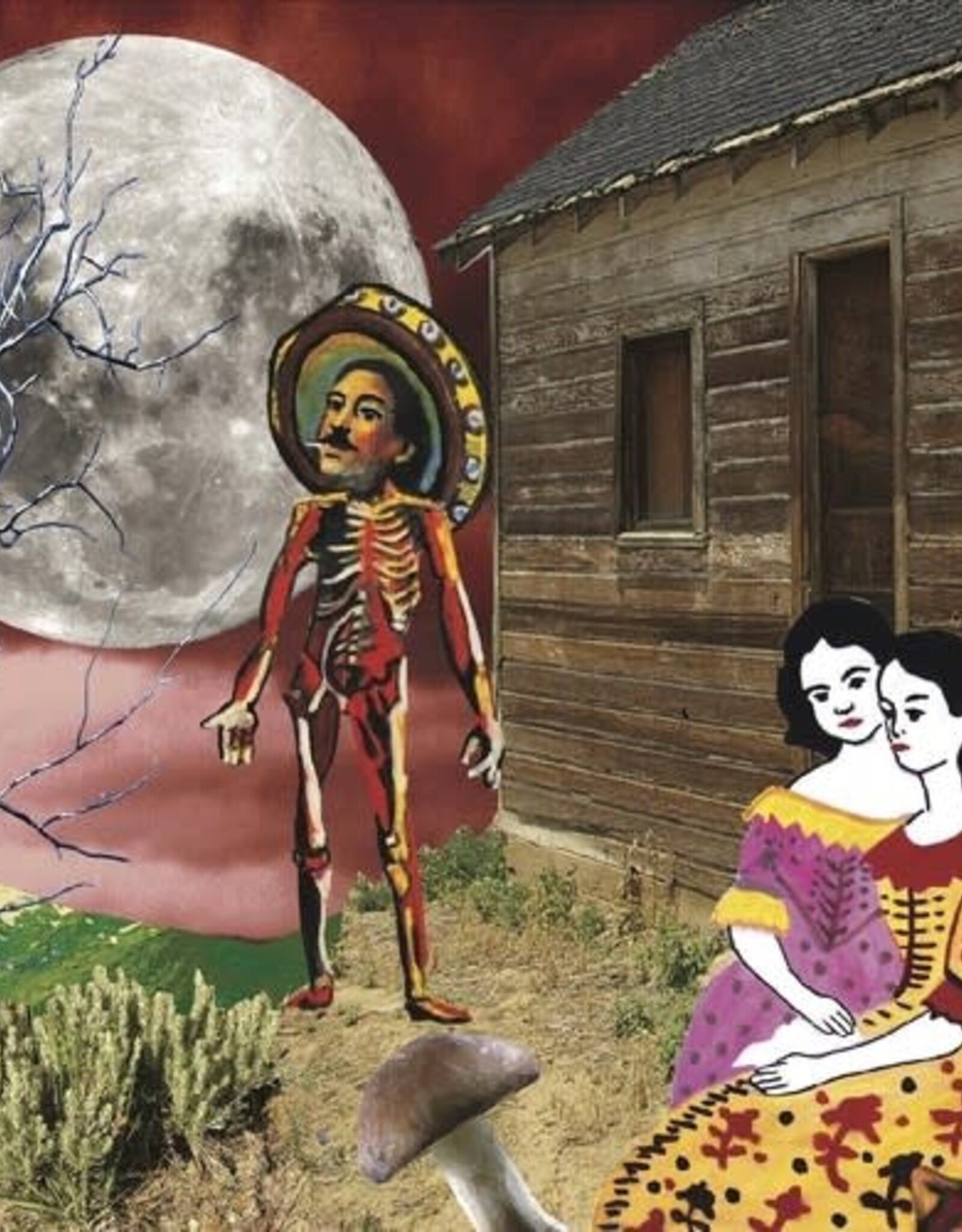 Silkworm - In The West