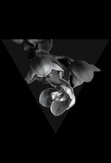 Quattracenta - II