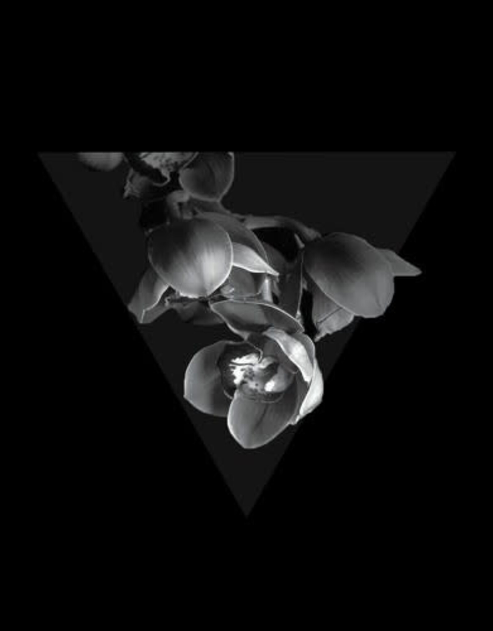 Quattracenta - II