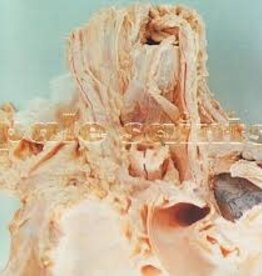 Pale Saints - in ribbons (30th Anniversary)