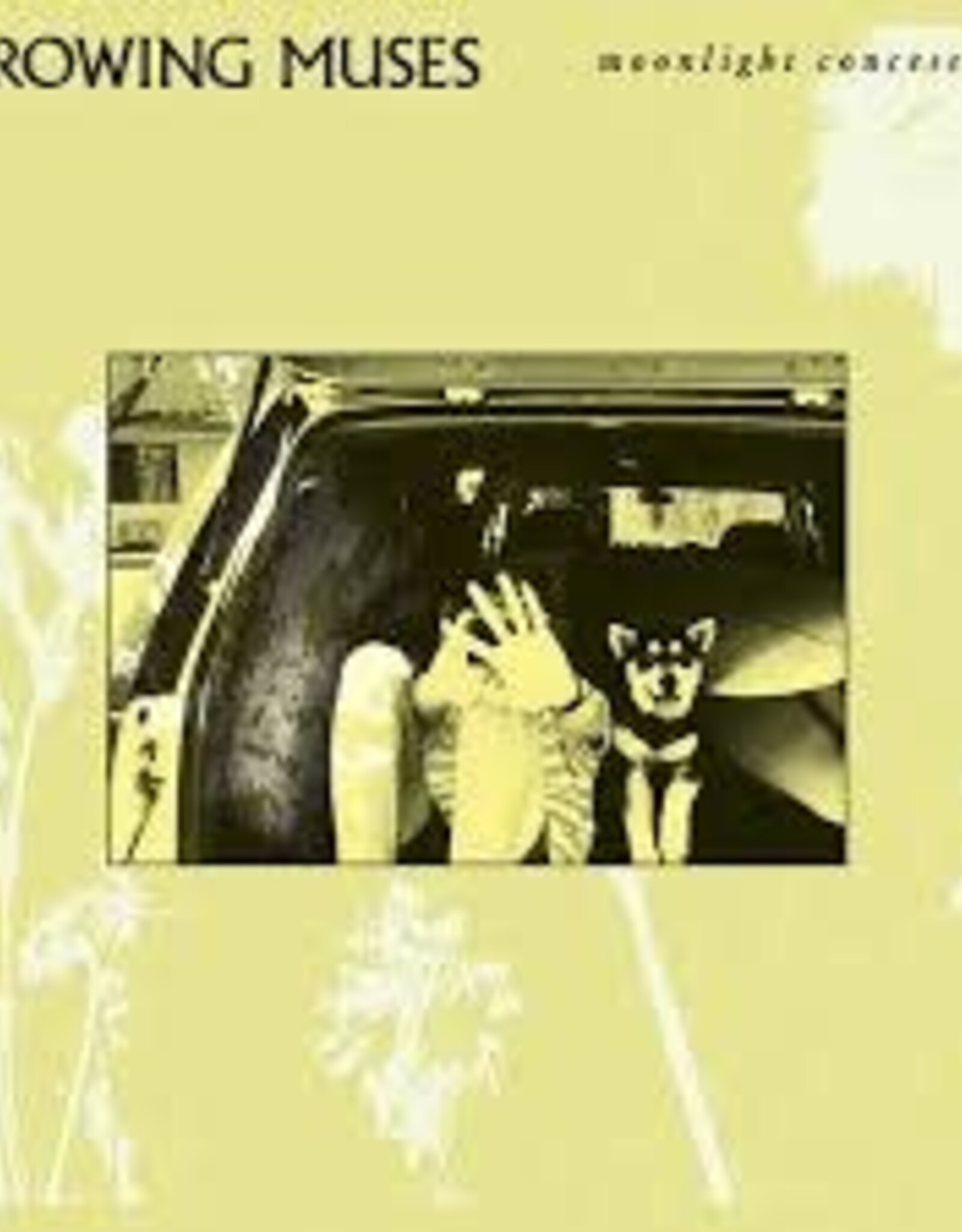 Throwing Muses - Moonlight Concessions
