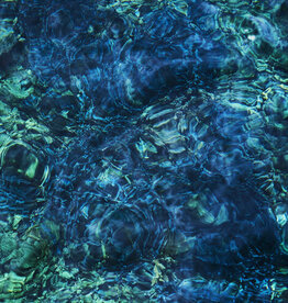 Ichiko Aoba - Luminescent Creatures