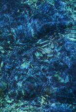 Ichiko Aoba - Luminescent Creatures