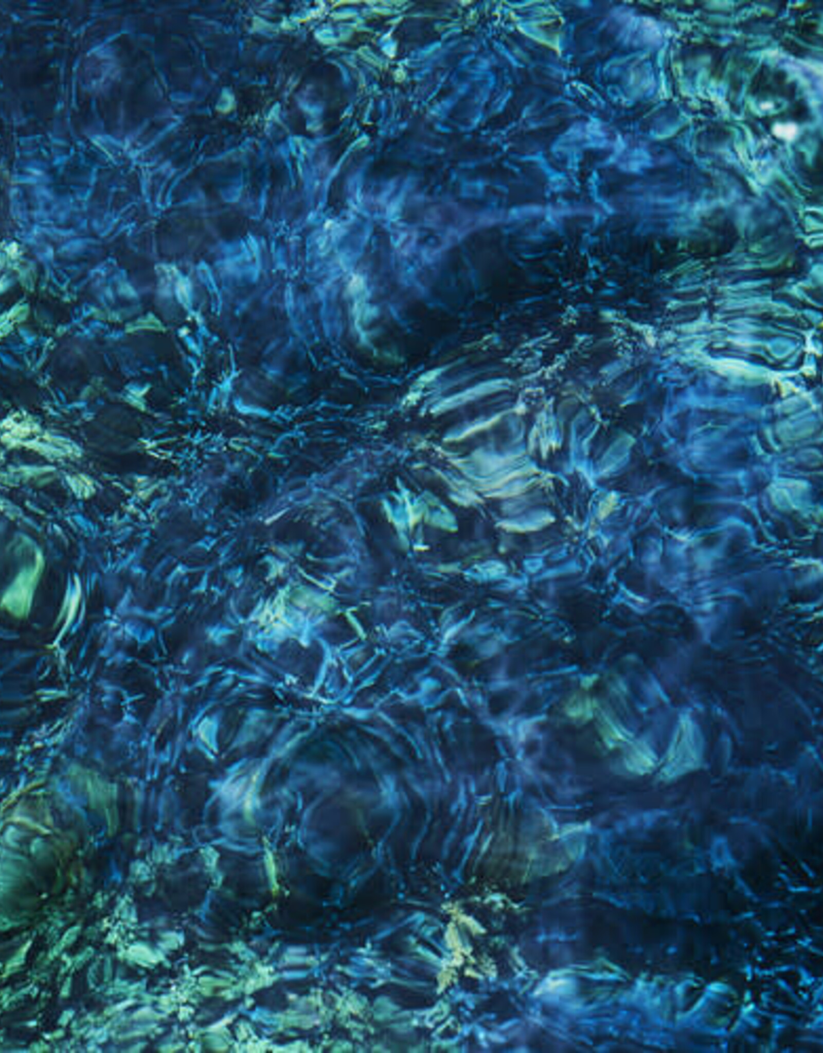 Ichiko Aoba - Luminescent Creatures