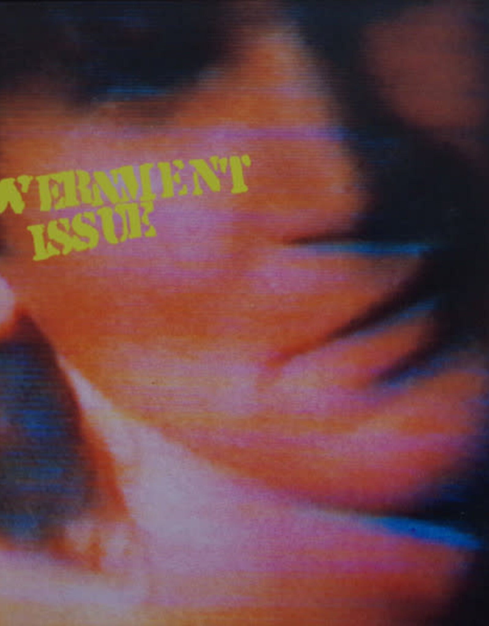 Government Issue - The Fun Just Never Ends