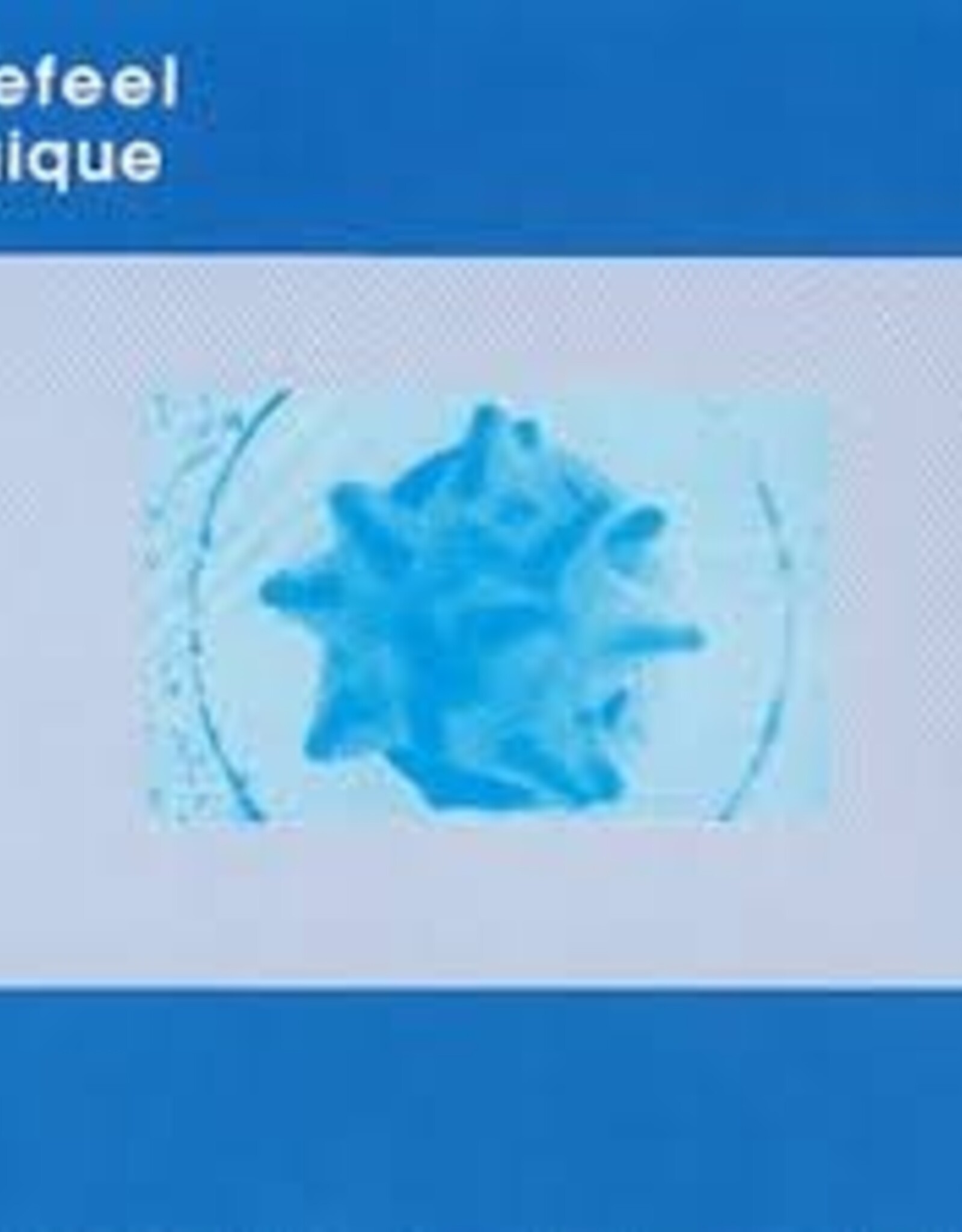 Seefeel - Quique