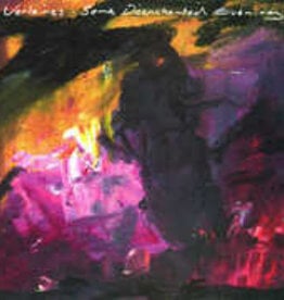 The Verlaines	 - 	Some Disenchanted Evening	(RSD 2025)