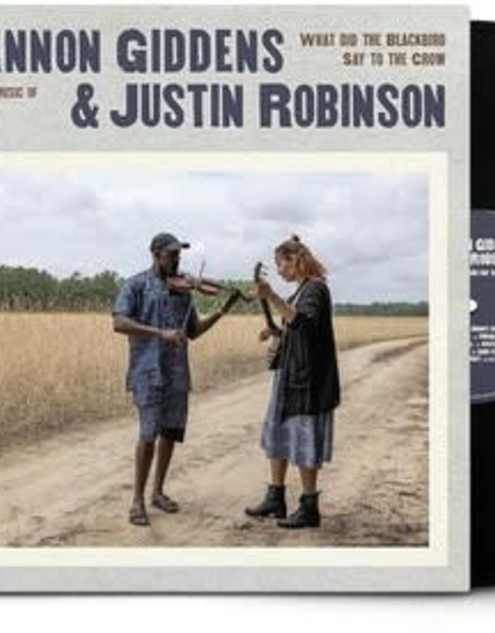 Rhiannon Giddens - What Did The Blackbird Say To The Crow
