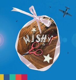 Wishy - Paradise on Planet Popstar