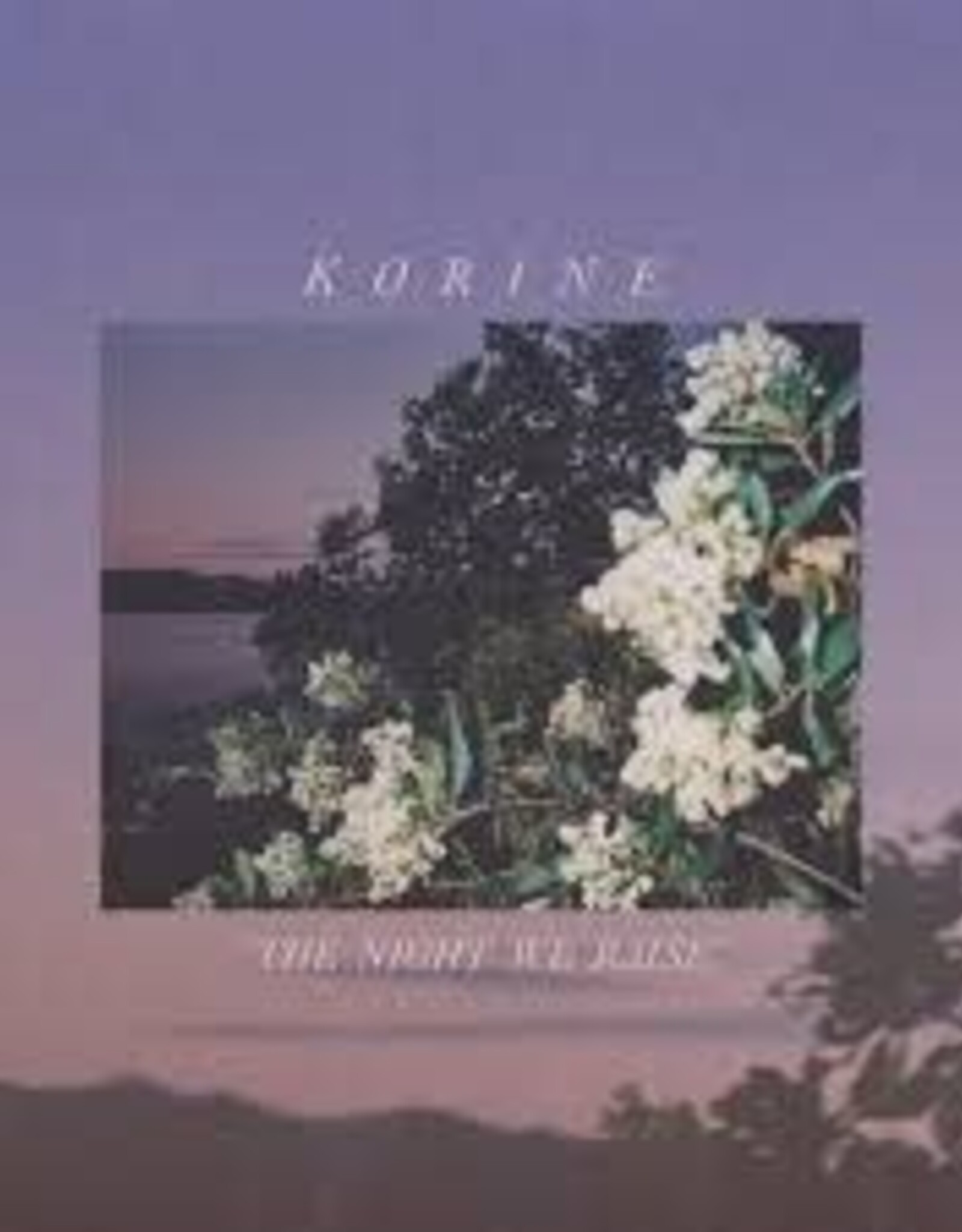 Korine- The Night We Raise