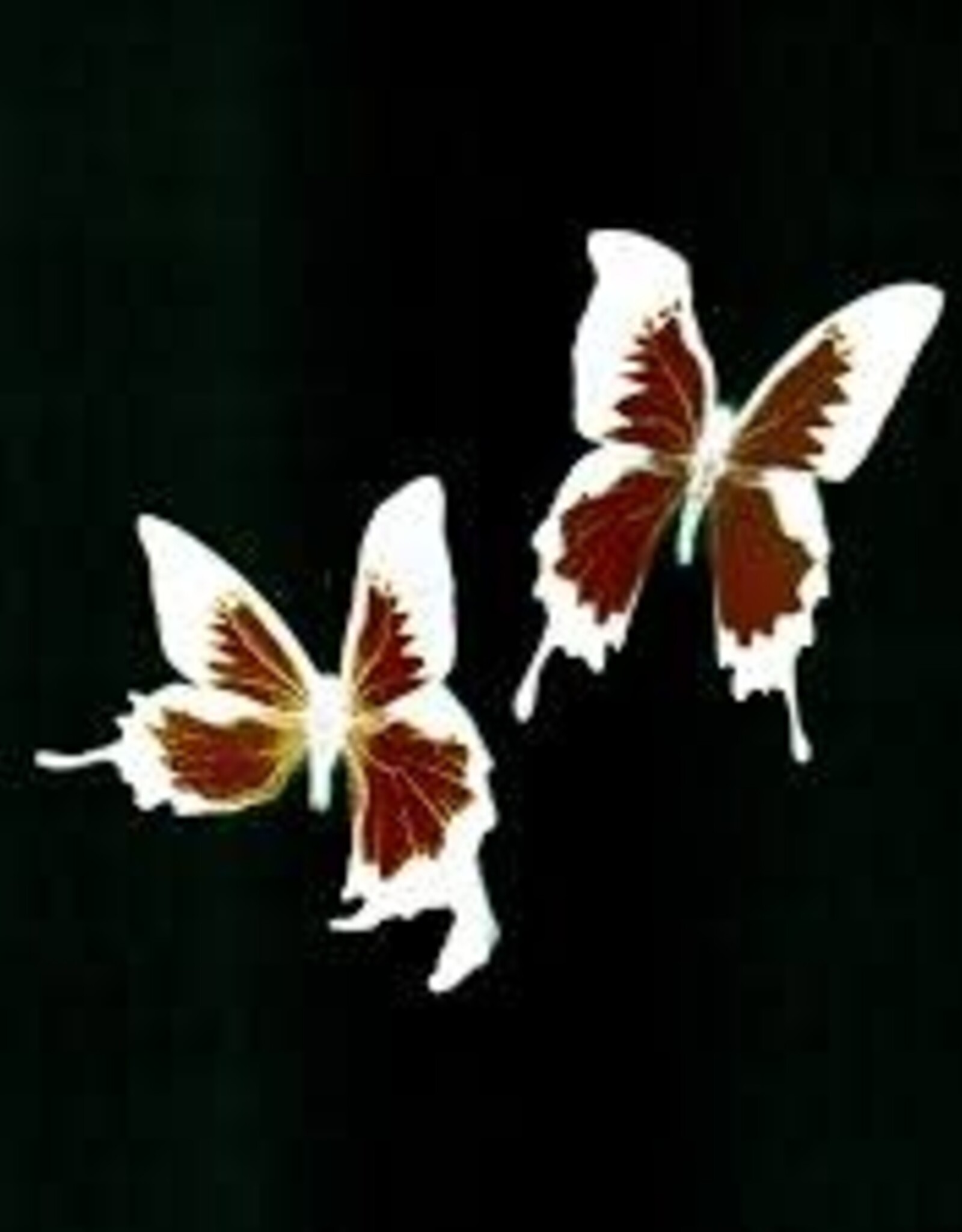 Korine- Tear (remixes)