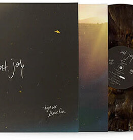 Mt. Joy - Hope We Have Fun (Brown Vinyl)