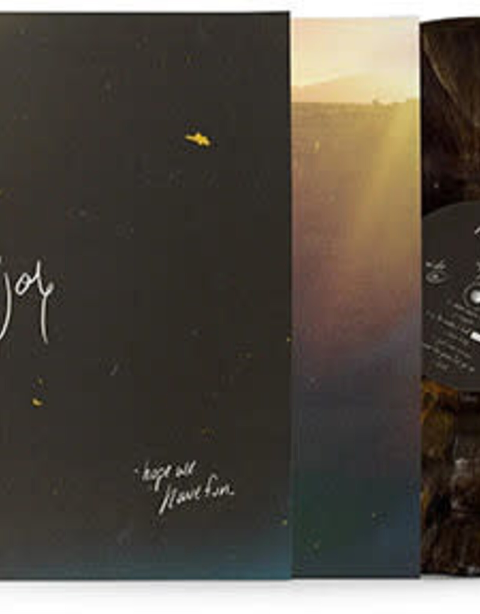 Mt. Joy - Hope We Have Fun (Brown Vinyl)