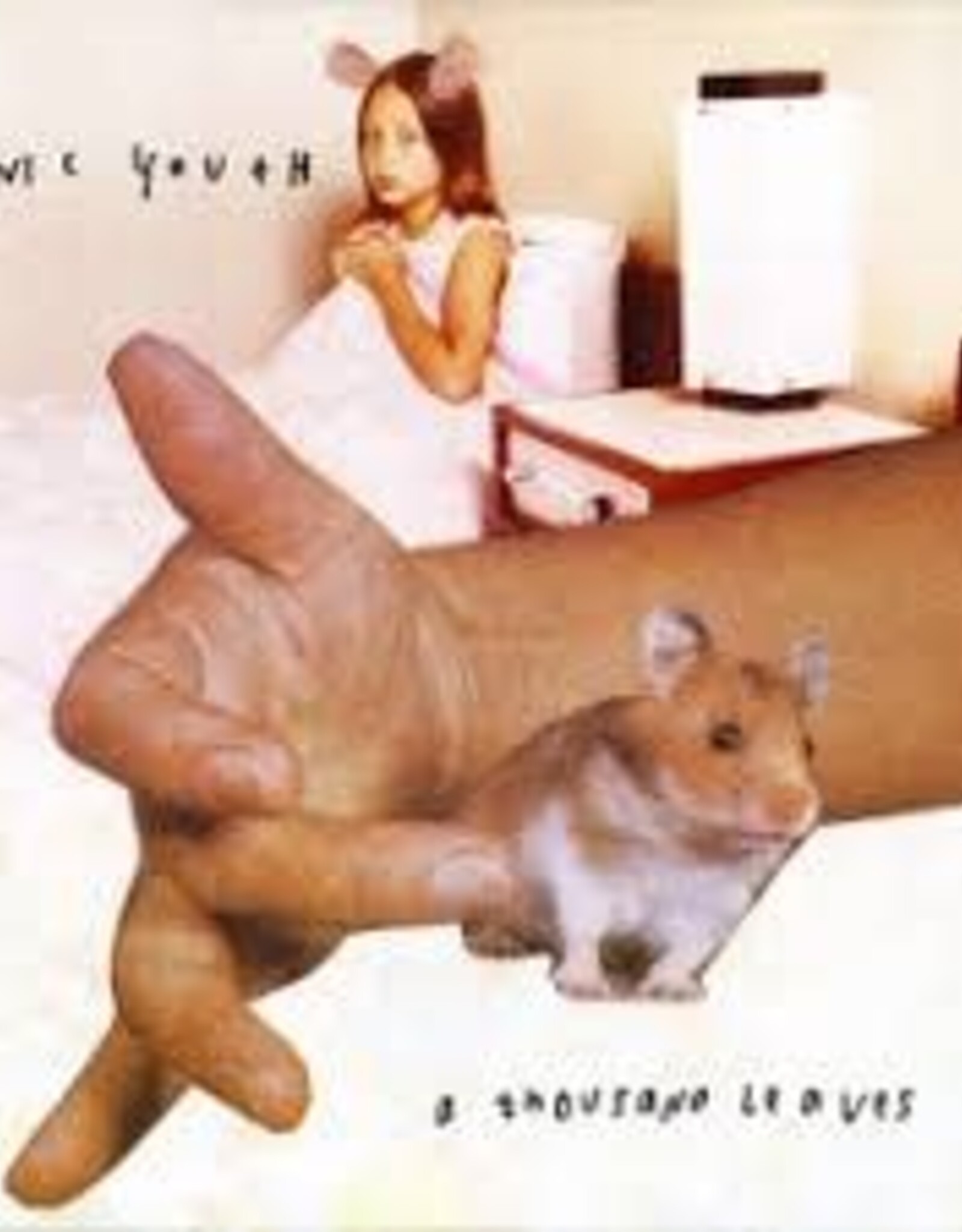 Sonic Youth - A Thousand Leaves