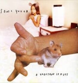 Sonic Youth - A Thousand Leaves