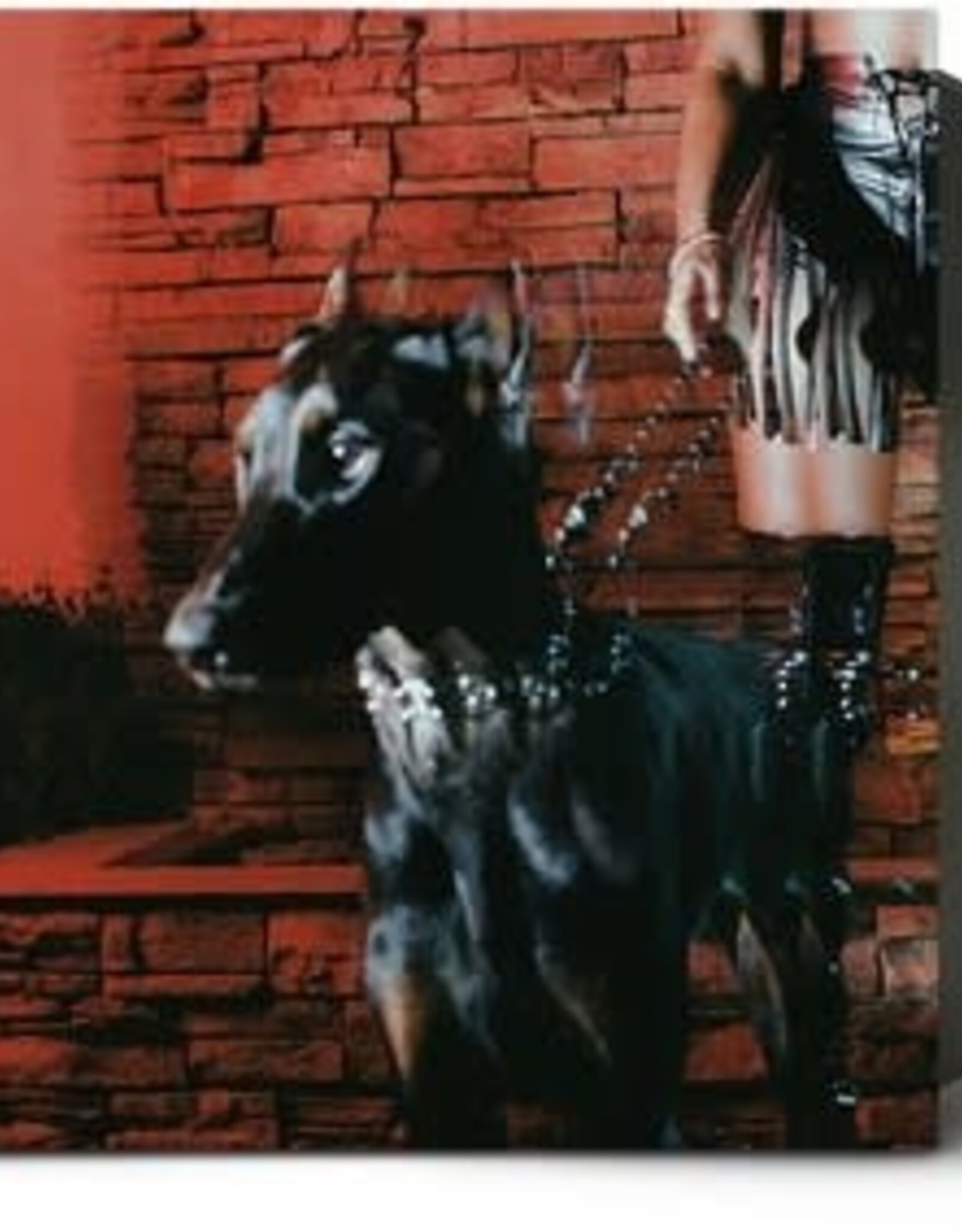 Leon Thomas - MUTT